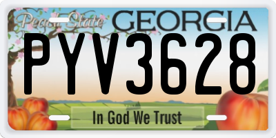 GA license plate PYV3628