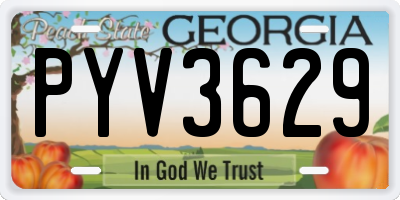 GA license plate PYV3629