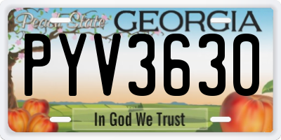 GA license plate PYV3630