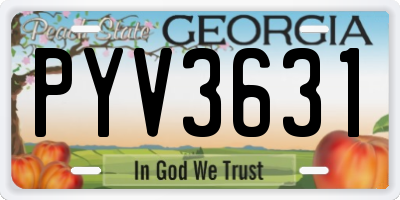 GA license plate PYV3631