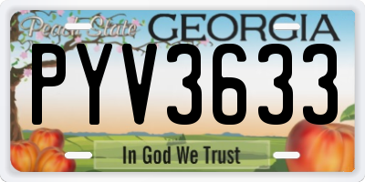 GA license plate PYV3633