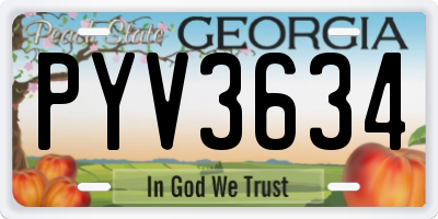 GA license plate PYV3634
