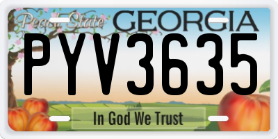 GA license plate PYV3635