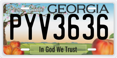 GA license plate PYV3636