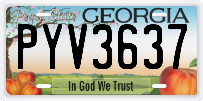 GA license plate PYV3637