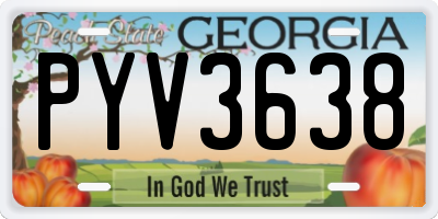 GA license plate PYV3638