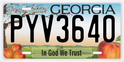 GA license plate PYV3640