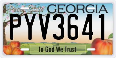 GA license plate PYV3641