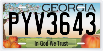 GA license plate PYV3643