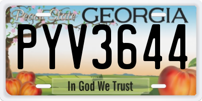 GA license plate PYV3644