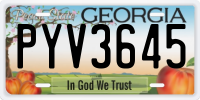GA license plate PYV3645