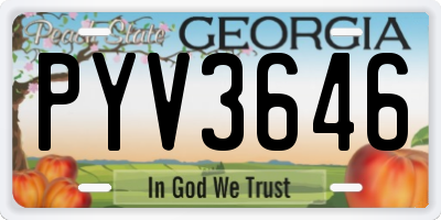 GA license plate PYV3646