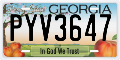 GA license plate PYV3647