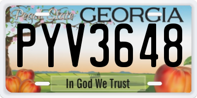 GA license plate PYV3648