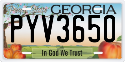 GA license plate PYV3650