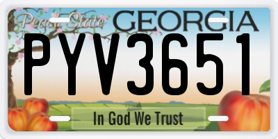 GA license plate PYV3651