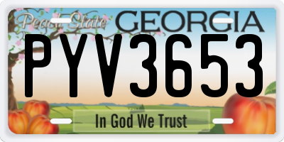 GA license plate PYV3653