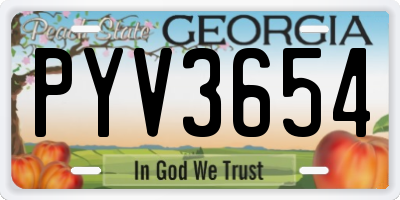 GA license plate PYV3654