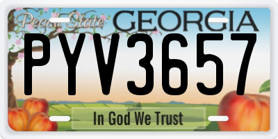 GA license plate PYV3657