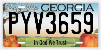 GA license plate PYV3659