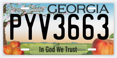 GA license plate PYV3663