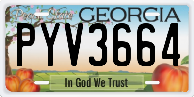 GA license plate PYV3664