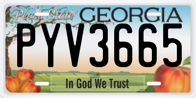 GA license plate PYV3665
