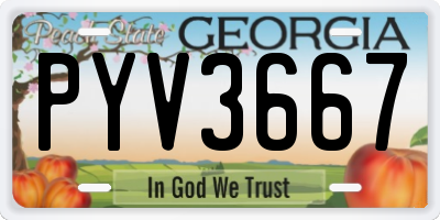 GA license plate PYV3667