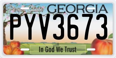 GA license plate PYV3673