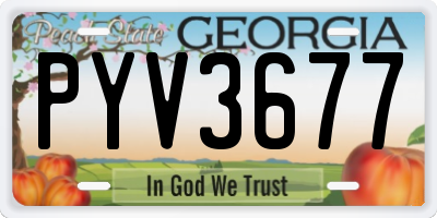GA license plate PYV3677