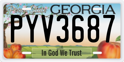 GA license plate PYV3687
