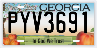 GA license plate PYV3691