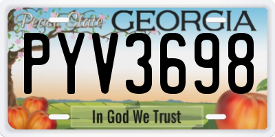 GA license plate PYV3698