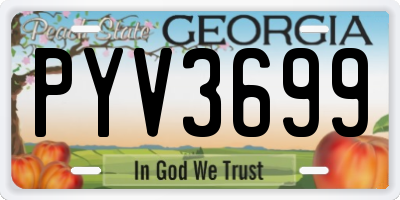 GA license plate PYV3699