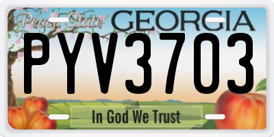 GA license plate PYV3703