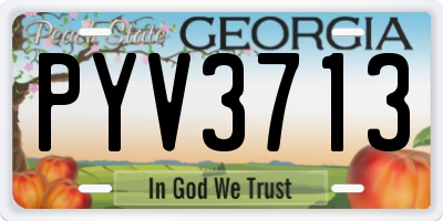 GA license plate PYV3713