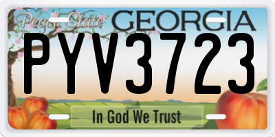 GA license plate PYV3723