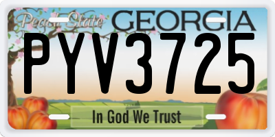 GA license plate PYV3725