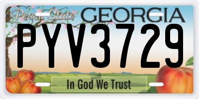 GA license plate PYV3729