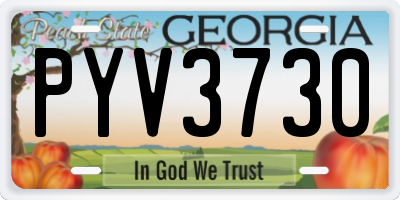 GA license plate PYV3730