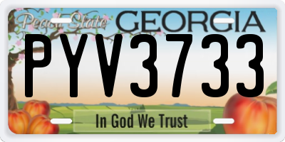 GA license plate PYV3733