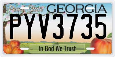 GA license plate PYV3735