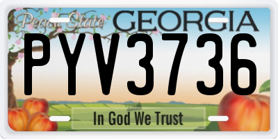 GA license plate PYV3736