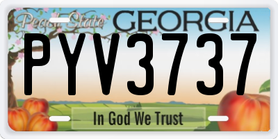 GA license plate PYV3737