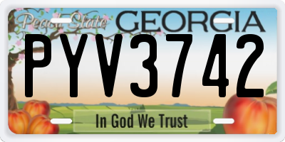 GA license plate PYV3742