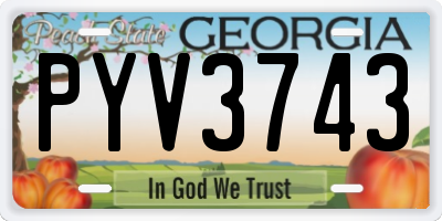 GA license plate PYV3743