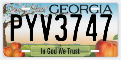 GA license plate PYV3747