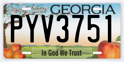 GA license plate PYV3751