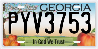 GA license plate PYV3753