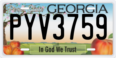 GA license plate PYV3759